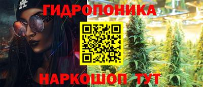 сатива Брянск