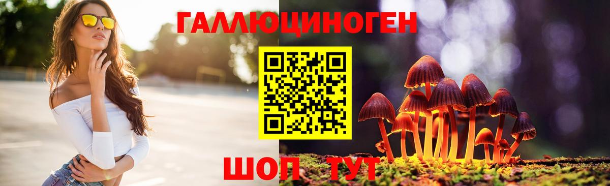 Псилоцибиновые грибы MAGIC MUSHROOMS  Вход с VPN  Жуковский 